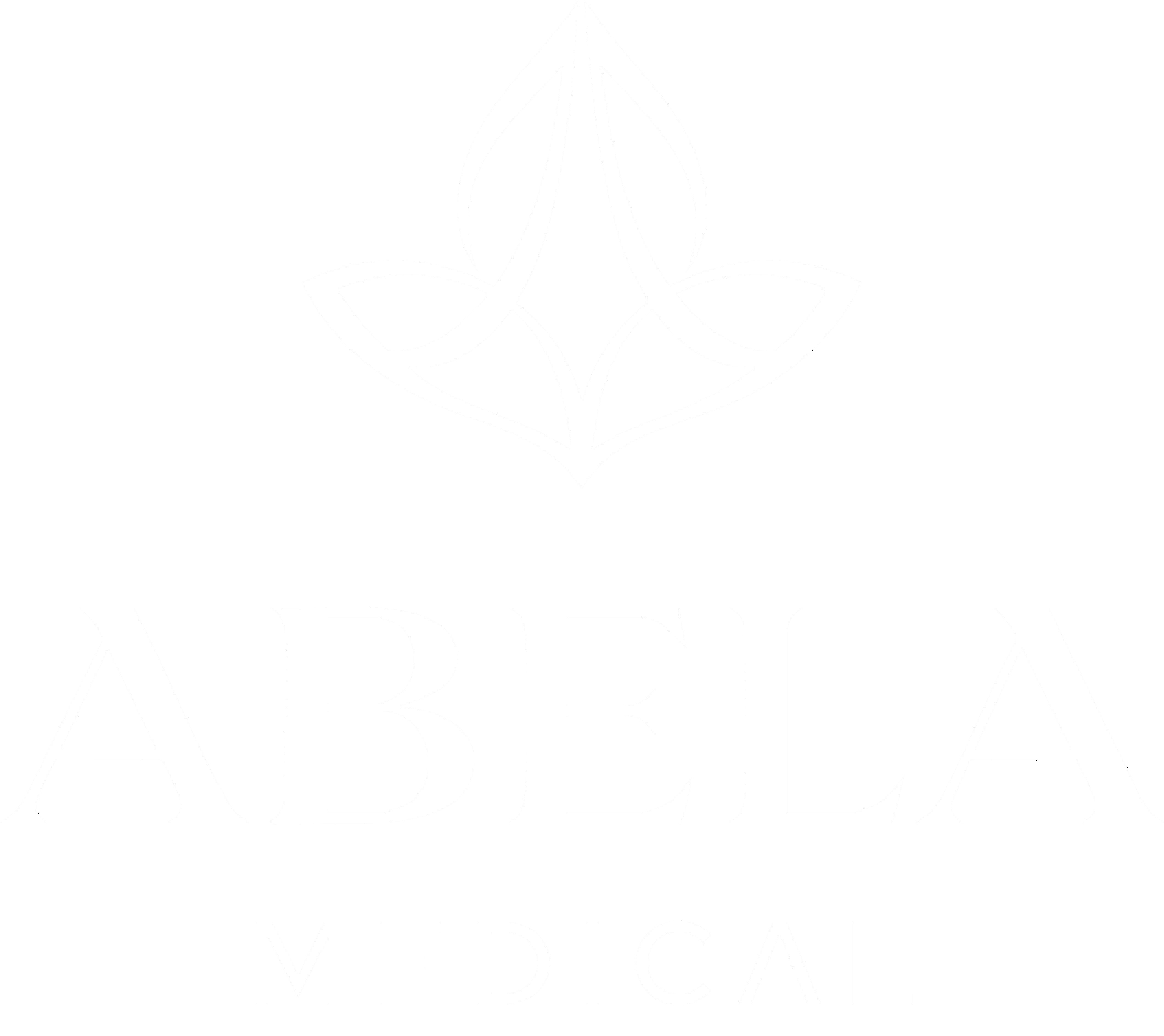 Abela Medical